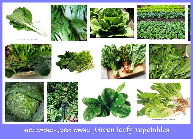 ఆహారము ఆరోగ్యము , Food & Health (Telugu) ఆకు కూరలుమన ఆరోగ్యము
