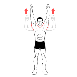 New Shoulder Exercises in PT-Helper | PT-Helper