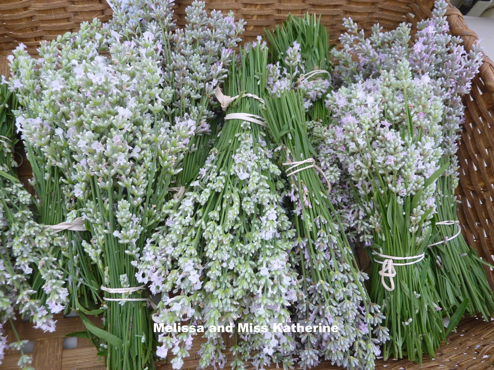 Blooming Hill Lavender Farm: Pretty In Pink--Lavender, That Is!