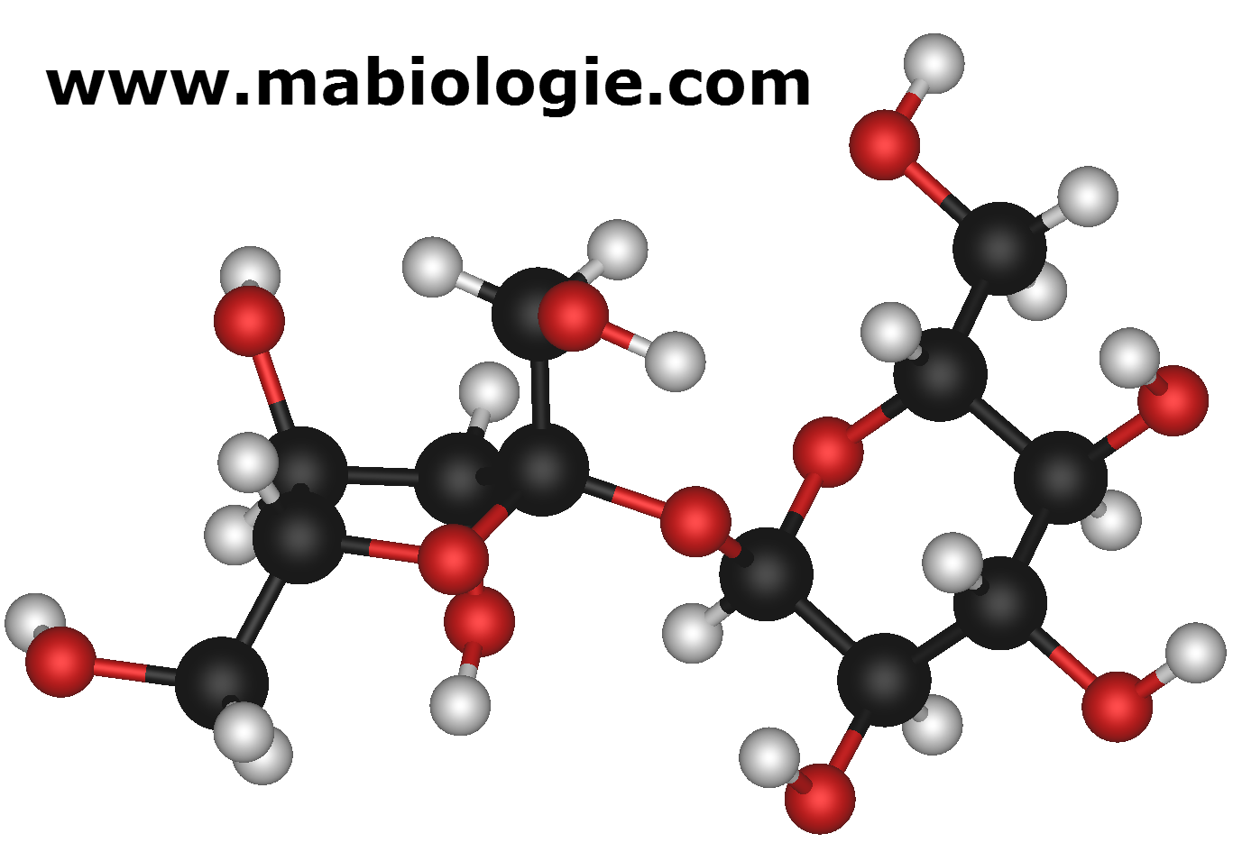 Définition molécule Biologie