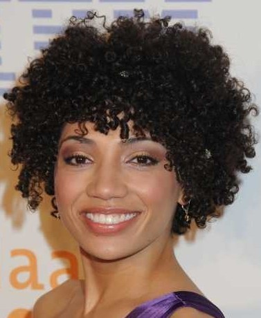 Short Black Hair Styles 2011 on Short Hairstyles For Women 2011   African American Hairstyles Photos