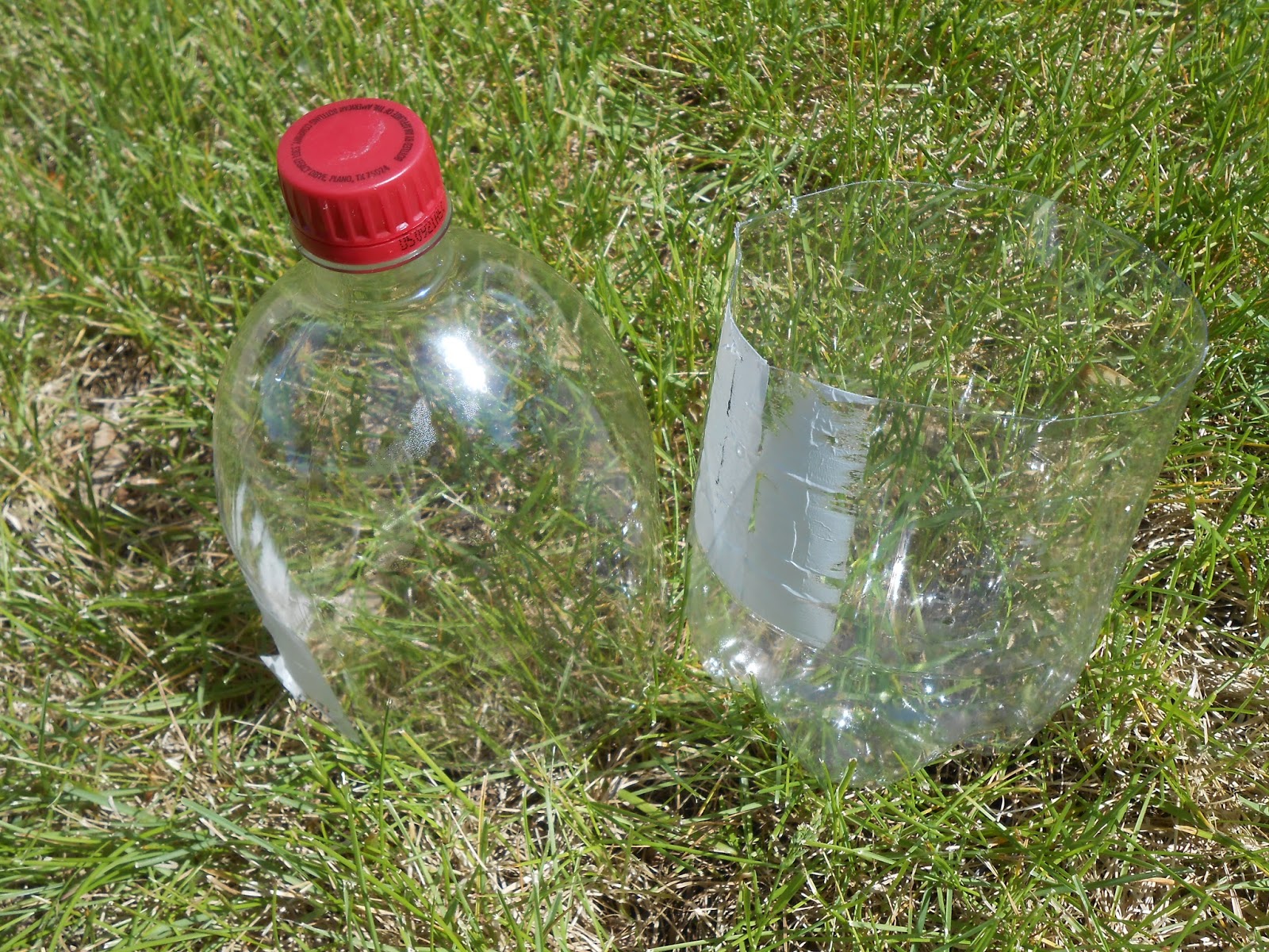 Sproutsandstuff Easy Plant Propagation Using a 2 Liter Bottle