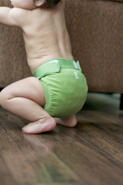 Cloth Diapering - Oh My! (Guest Post) - Whistle and Ivy