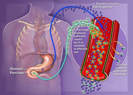 Best weight loss programs in minnesota image 4
