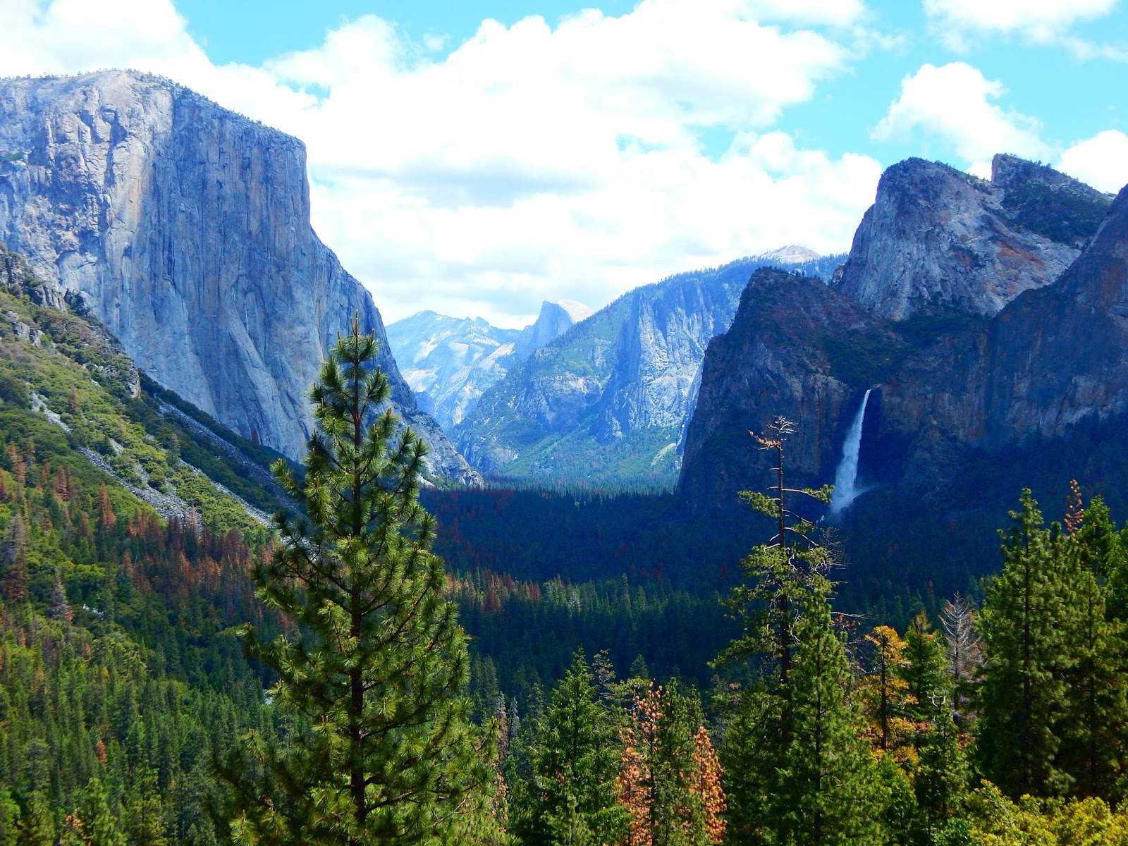 Ultimate Yosemite Travel Guide