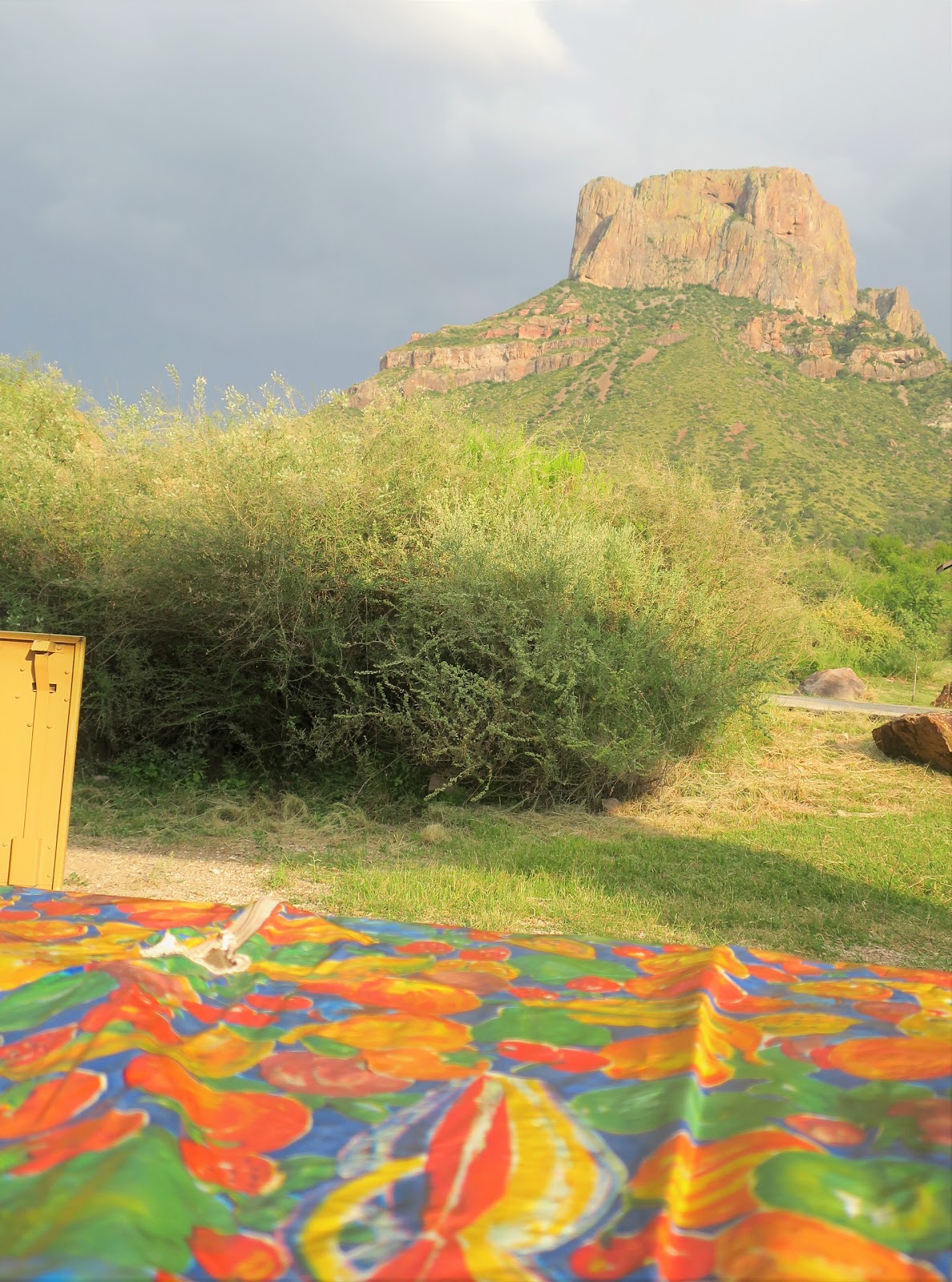 Living Rootless Big Bend National Park Campsite Neighbors