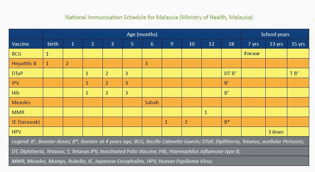 National program of Immunization. Baby vaccination Schedule. Vaccination Uzbekistan Schedule. DTAP-IPV-hib.