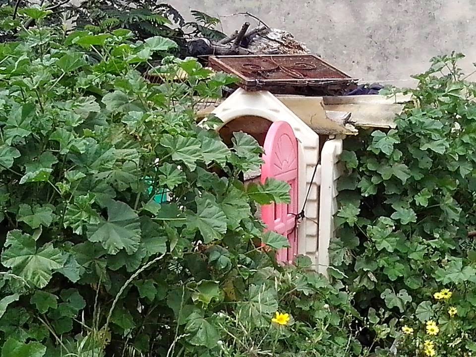 Das wahre Leben So´n büschen bekloppt ist ja ok. April 2014