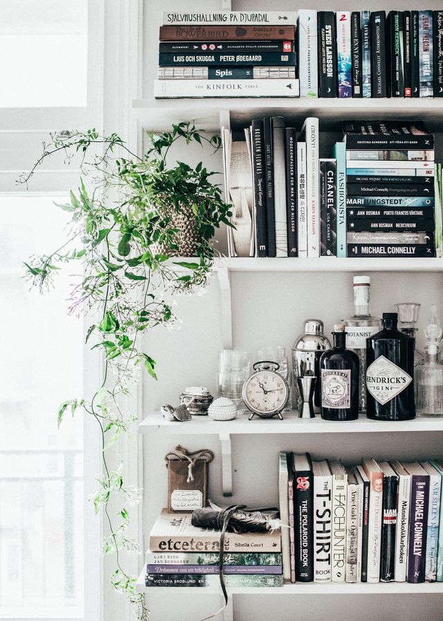 Design Addict Mom Plants on Shelves.
