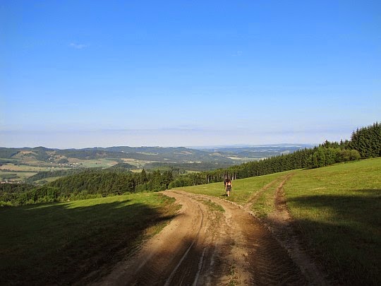 Wzgórza Lewińskie - w drodze na Grodczyn.