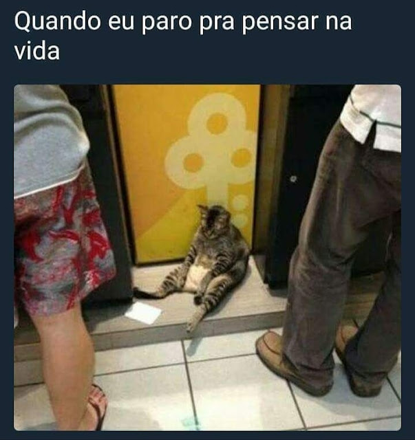 Memes engraçados Memes engraçados