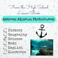 National Aquarium PhotoJournal (From the High School Lesson Book) on Homeschool Coffee Break @ kympossibleblog.blogspot.com - photos from our recent field trip, and a link up for homeschooling through high school posts