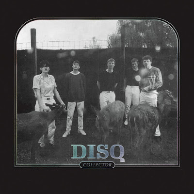 Collector Disq Album