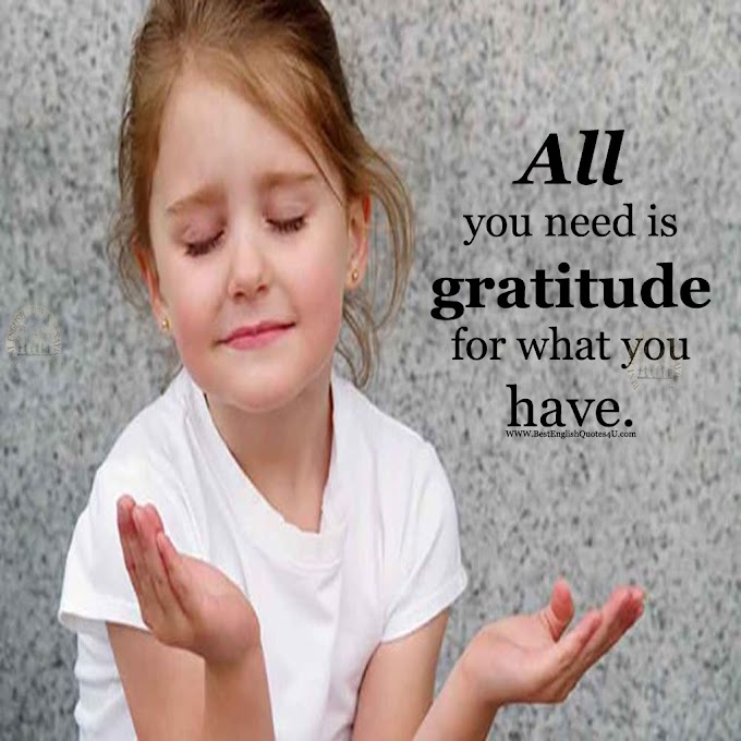 All you need is gratitude for what ...