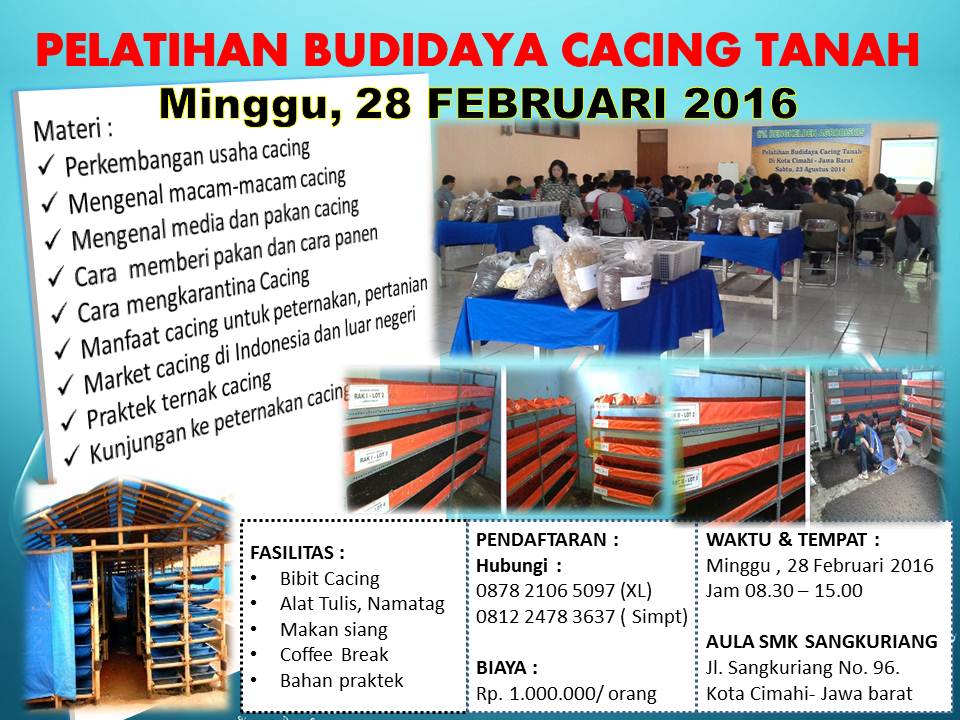 cacing lumbricus rubellus 2016 cacing lumbricus rubellus 2016