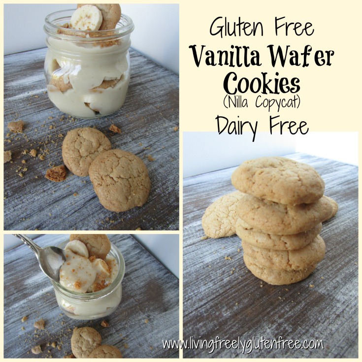 Gluten Free, Dairy Free (Nilla) Vanilla Wafer Cookies Living freely