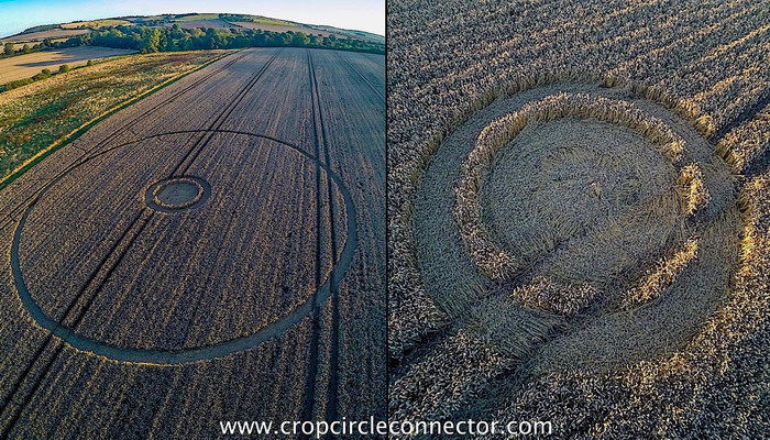 Crop circles 2016 - Página 2 Crop29agosto1