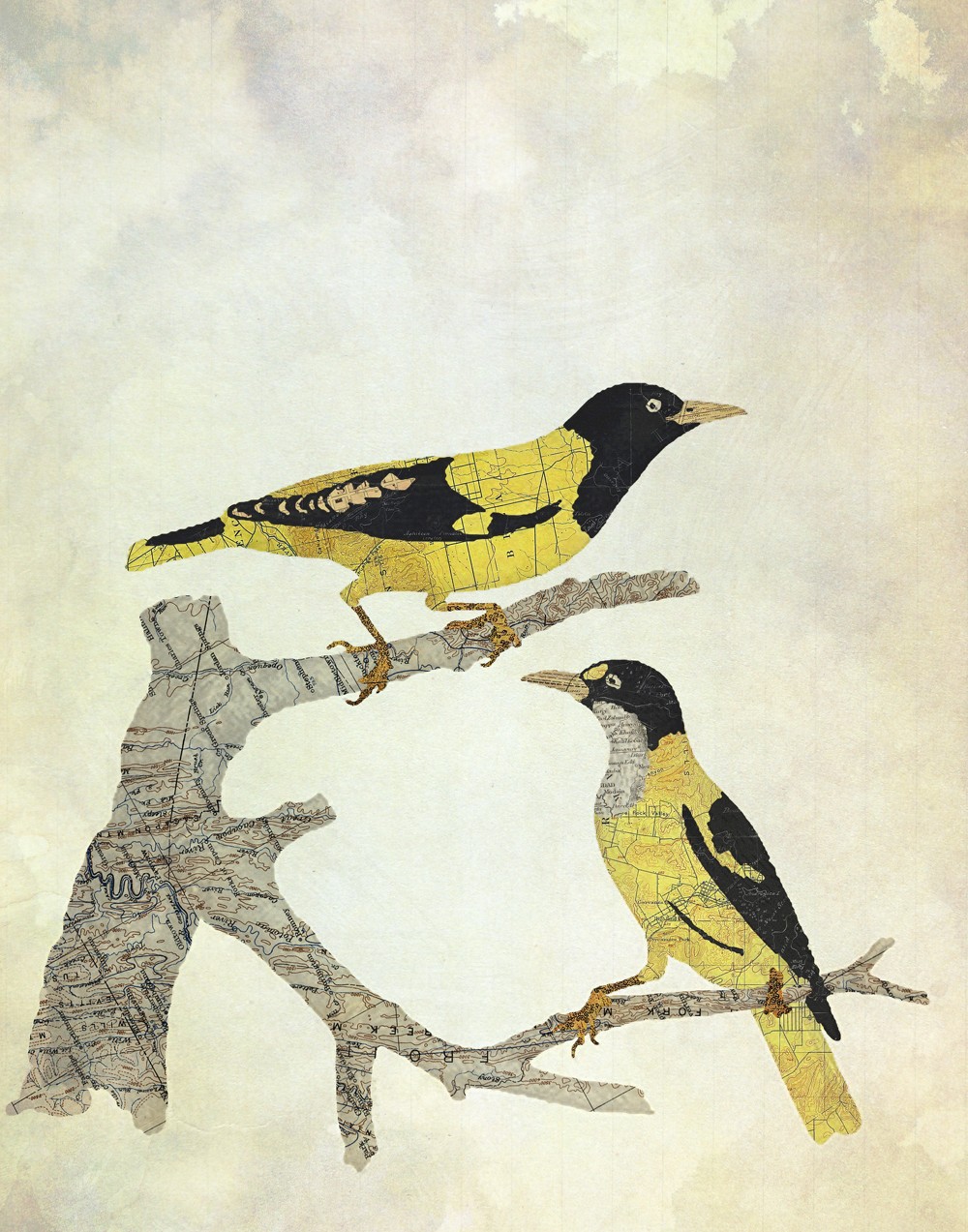 06-Goldfinches-Jason-LaFerrera-Cartography-Shaped-to-make-Map-Animals-www-designstack-co