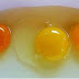 Perbezaan Warna Kuning Telur Yang Korang Tak Tahu