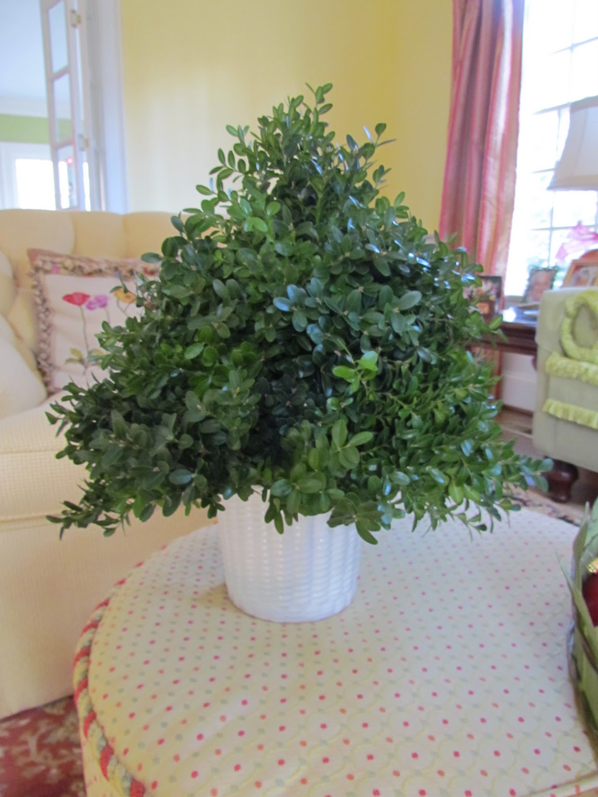 boxwood christmas craft