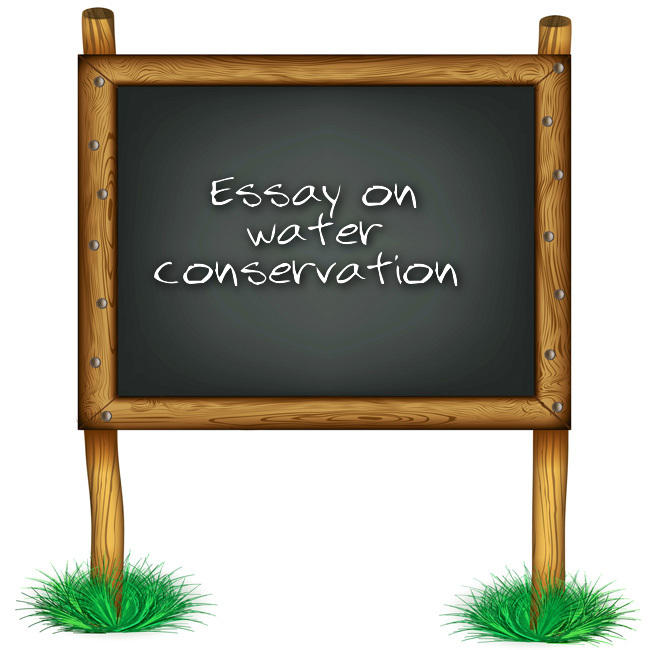 Water conservation essays