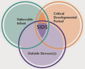 UAE Mums: SIDS Alert