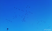 resiliencia-superación-autoestima-emprendiendo-el-vuelo