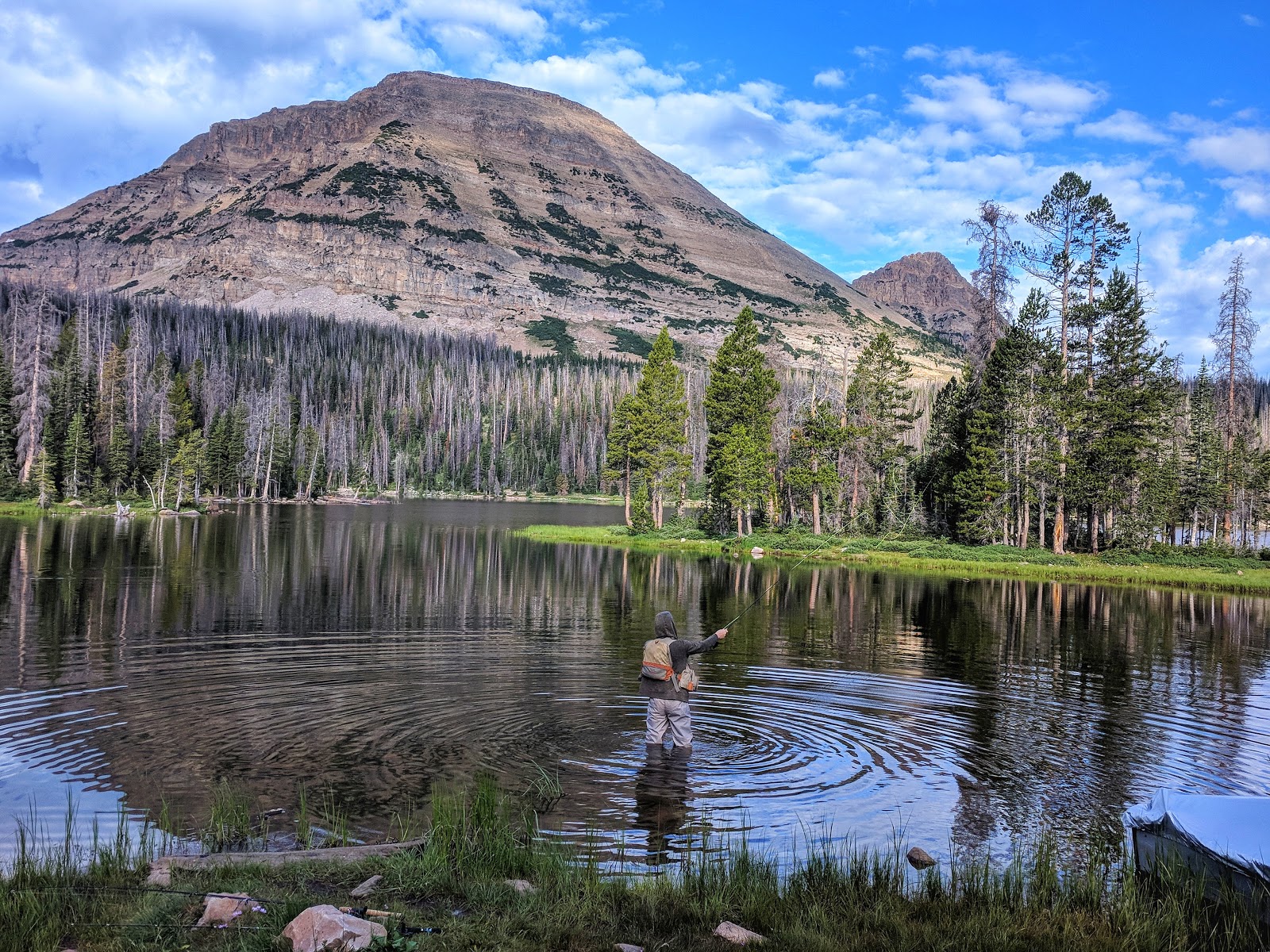 Are Dogs Allowed At Mirror Lake Utah