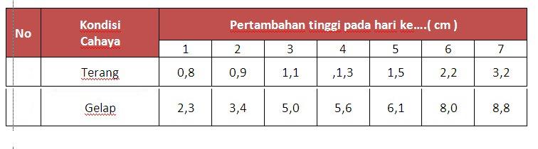 X6: Penelitian. Pengaruh intensitas cahaya matahari terhadap tumbuhan