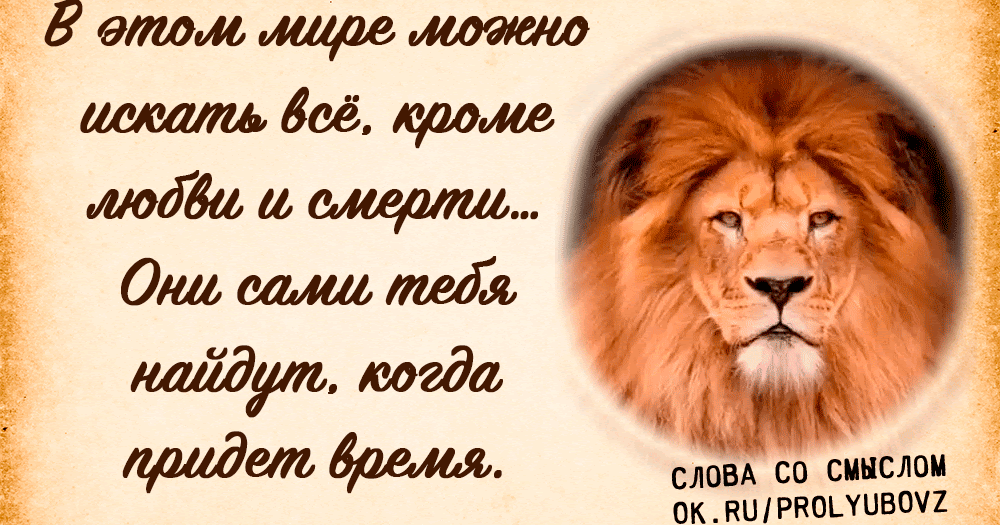 любовь и смерть найдут тебя сами. у меня есть я цитаты. в в этом мире можно искать все. любовь сама тебя найдет. они сами находятся.