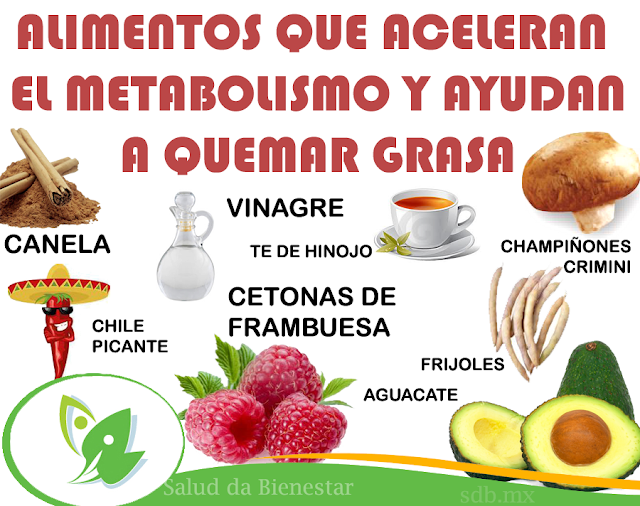 Alimentos para acelerar el metabolismo y adelgazar