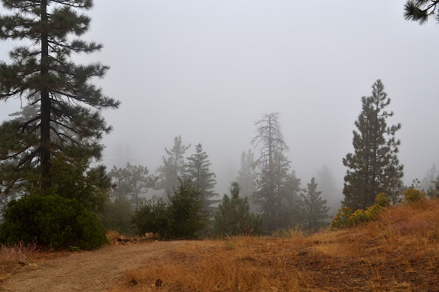 trail just keeps going down, but it gets steeper