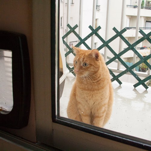 La Fée MoiMême Chatière de baie vitrée
