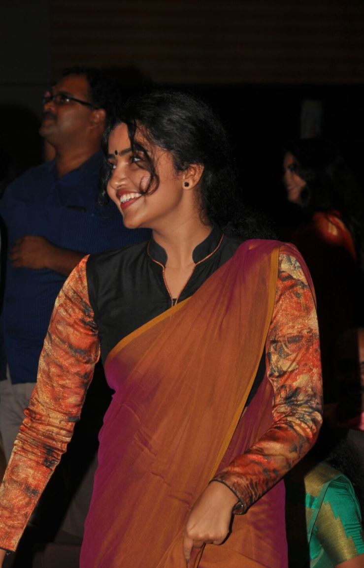 Malayalam Actress Photos In Yellow Saree Anupama