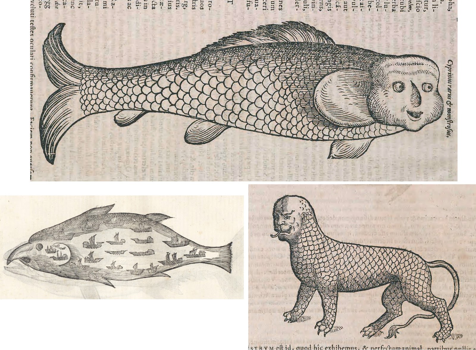 Fish With Human Features