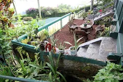 villa la lita gunung bunder