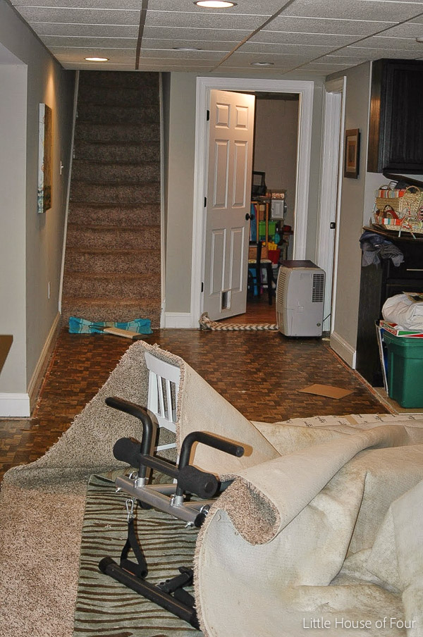 Rare Basement Pictures and Current Makeover Plans