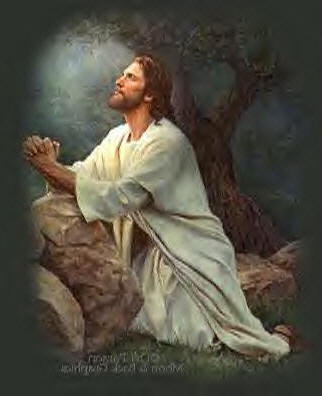 Jesus Is My Hero: How is your Prayer Life?