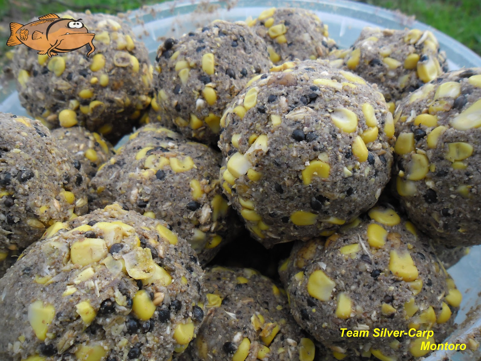 silver-carp blog: CEBADO "MASIVO O AL HOT SPOT"