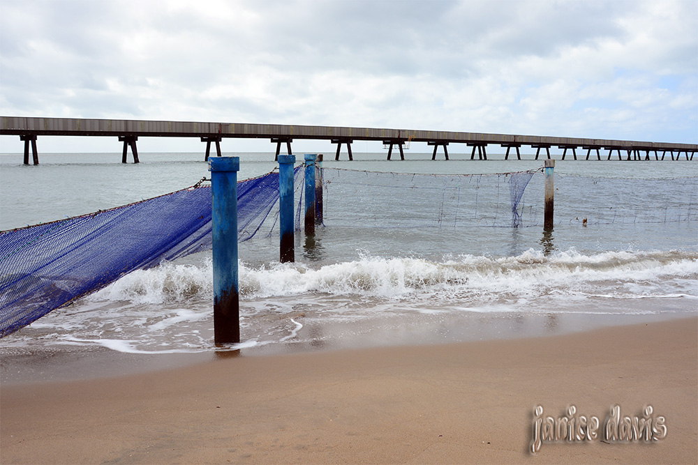 thoughts & happenings Our stay at Lucinda, Queensland.