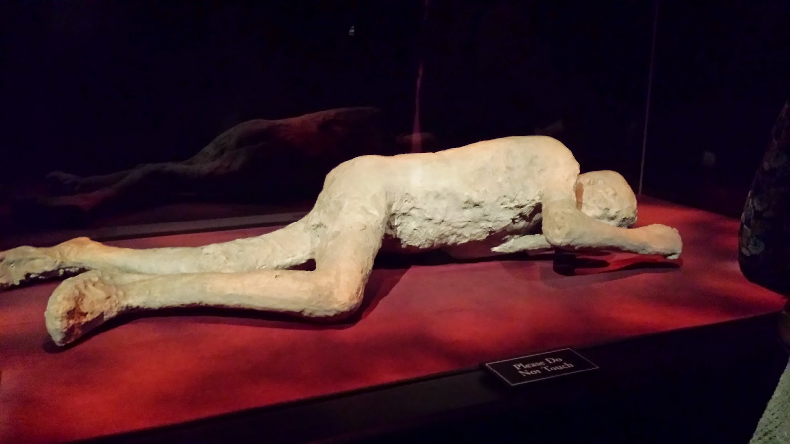 Pompeii Museum Exhibition