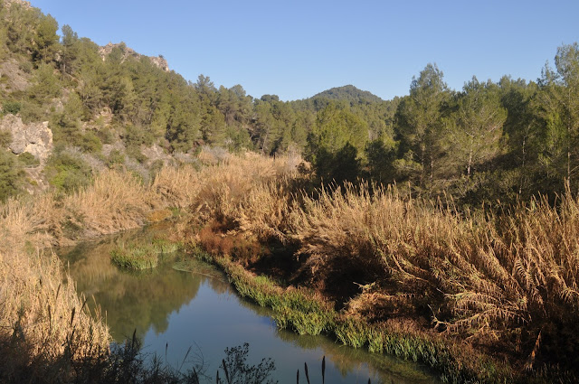 ASOCIACIÓN DE BELLÚS A XÀTIVA