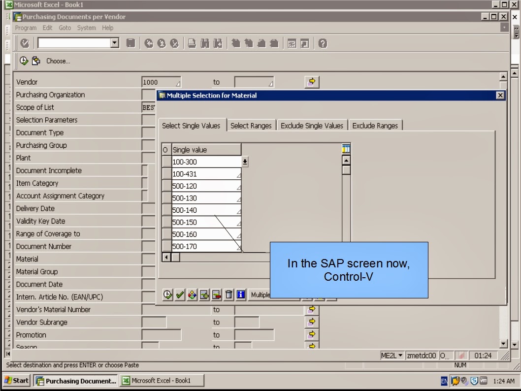 青蛙SAP分享 Froggy's SAP sharing N21 Clipboard Operating Multiple Fields