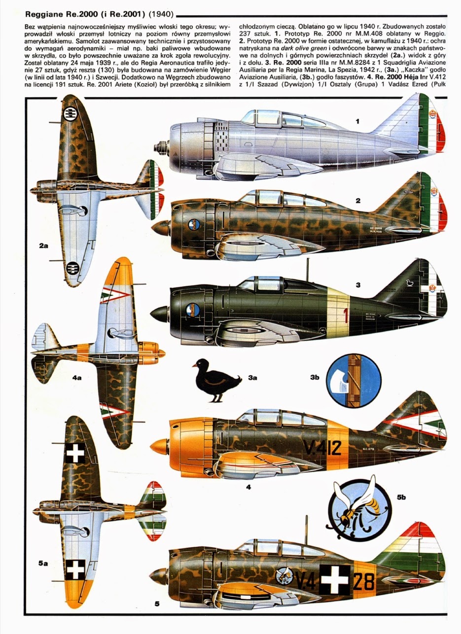 Italian Aircraft of WWII Italian Camo 4 Reggiane Re 2000/2001 Falco