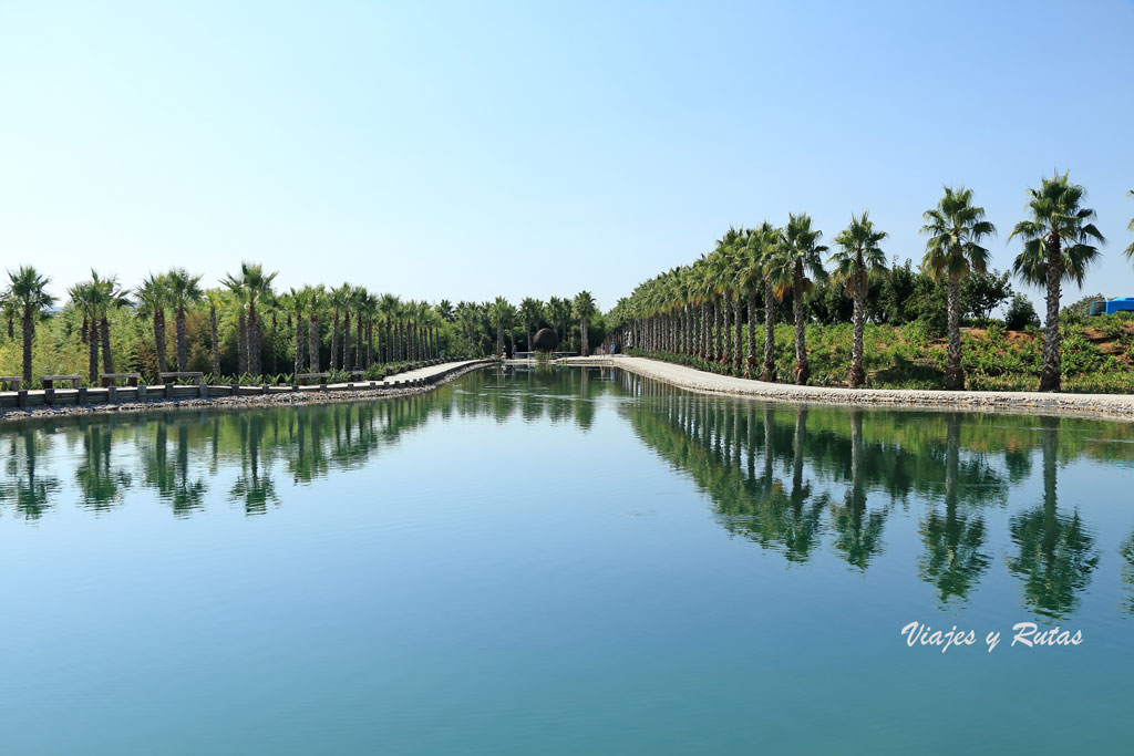 Lago de las palmeras de Buddha Eden