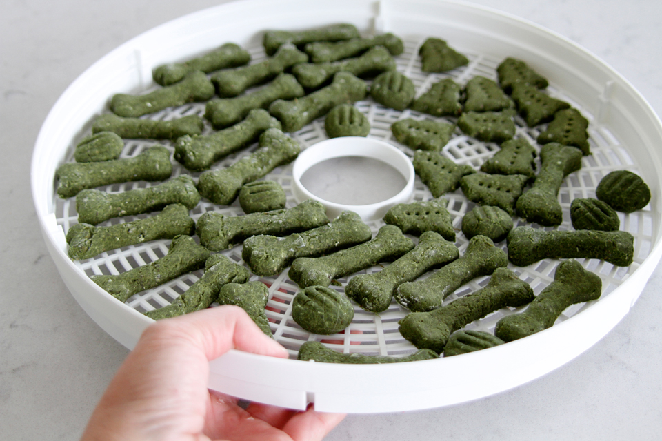{RECIPE} Merry Fishmas! Naturally Green Sardine Dog Treats — Dalmatian DIY
