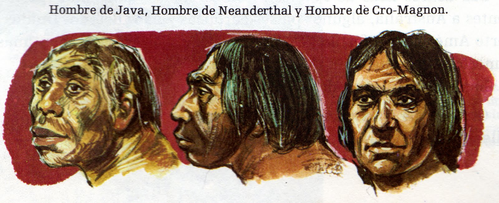 sociedad y cultura: HISTORIA UNIVERSAL: PARTE I