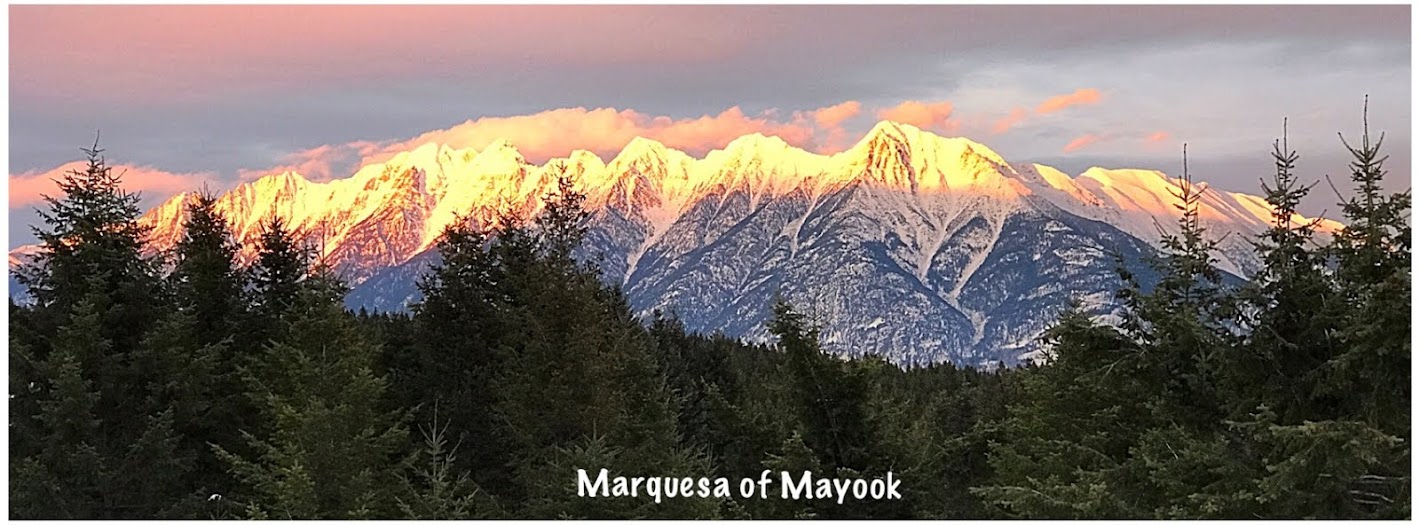 Marquesa of Mayook