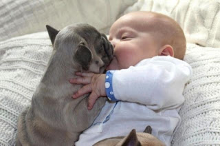 Bebé y cachorro dandose un beso