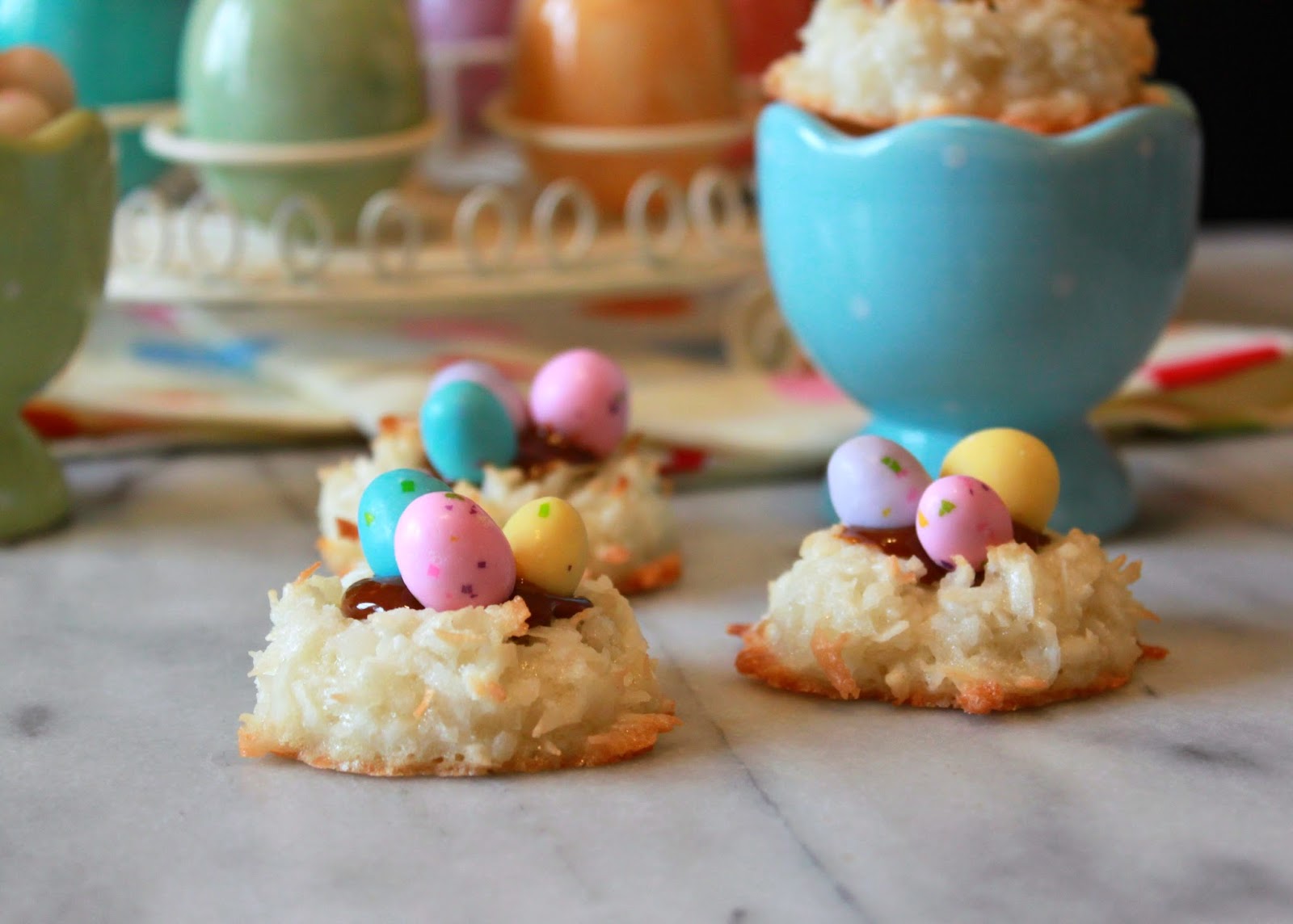 Bird In Everything Coconut Bird Nest